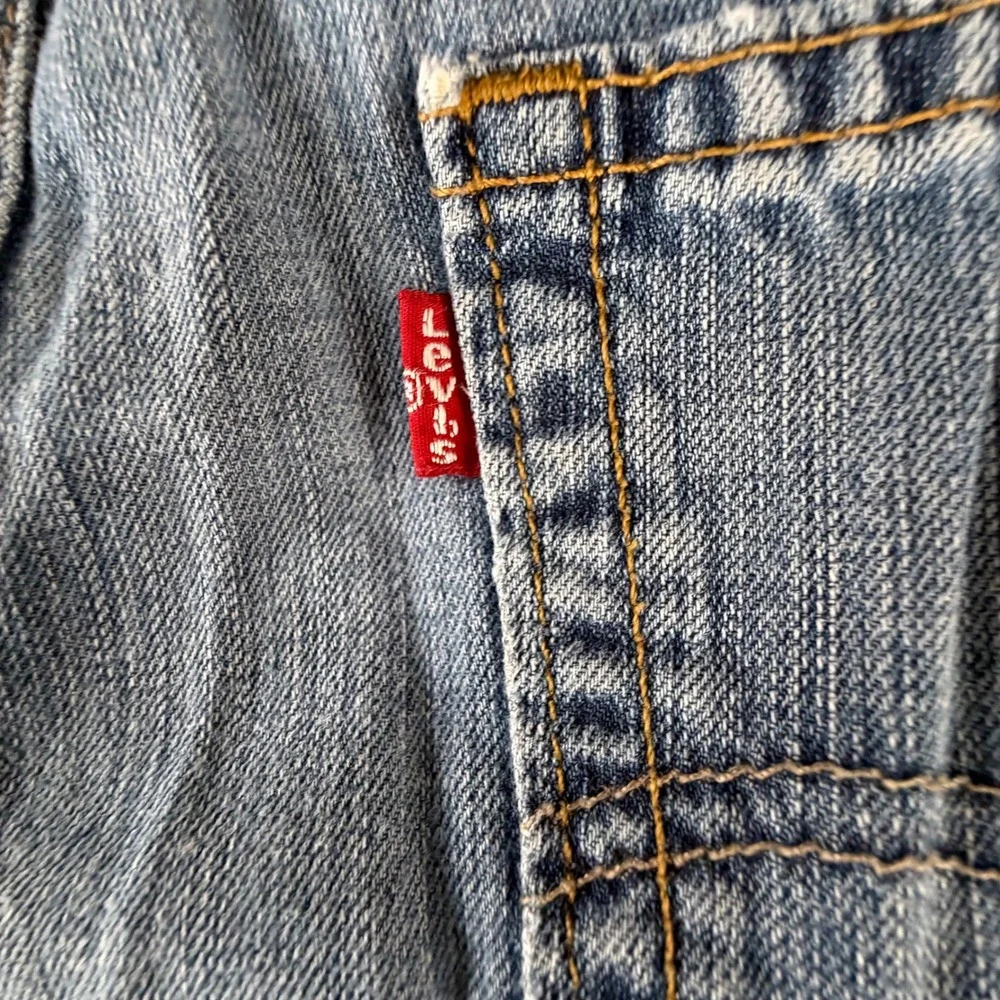Levis levi strauss